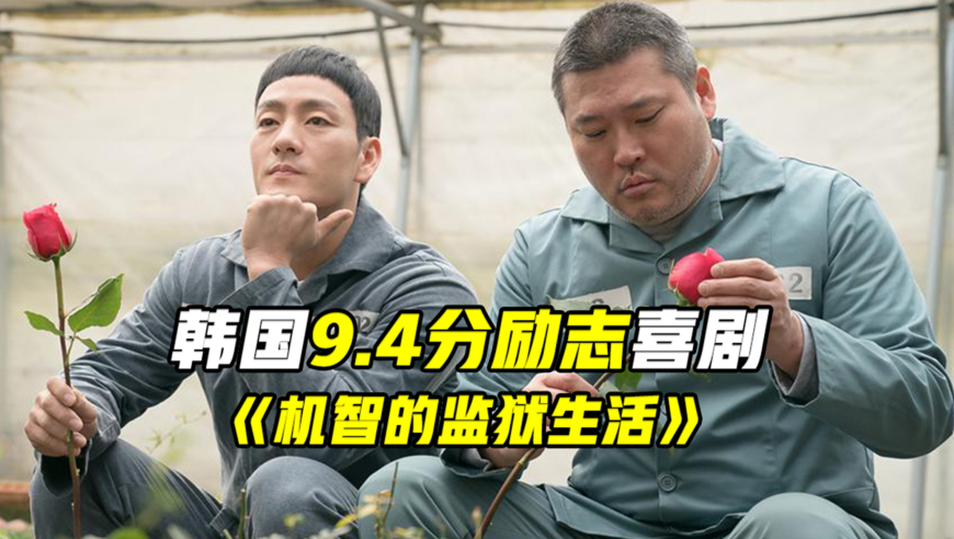 越看越有意思导演太懂了,韩国喜剧《机智的监狱生活》