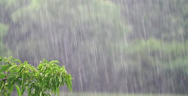 中国气象局：今年华北雨季累计雨量较常年偏多161.1％，创1961年以来新高_腾讯新闻