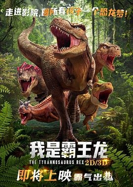 神奇宝贝特别篇