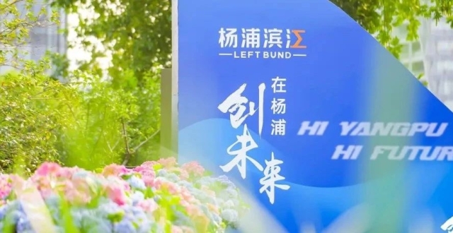 持续优化营商环境，杨浦诚意满满_腾讯新闻