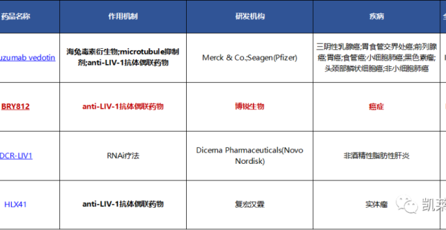 国内首款LIV-1 ADC迎来里程碑！博锐生物BRY812完成I期临床首例给药_腾讯新闻
