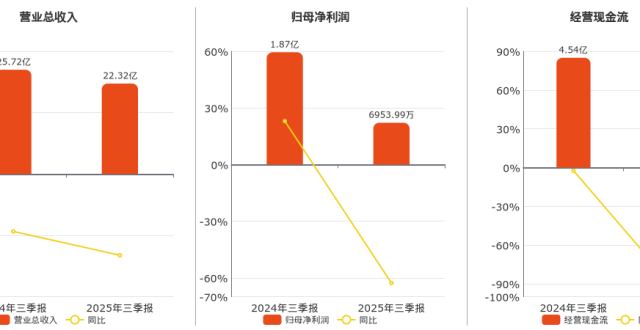 2025年三季报净利润为6953.99万元、同比较去年同期下降62.75%_腾讯新闻