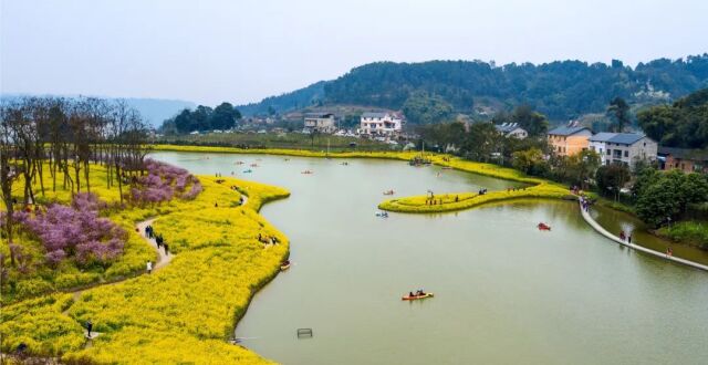 “农地入市”，给当地带来了什么？_腾讯新闻