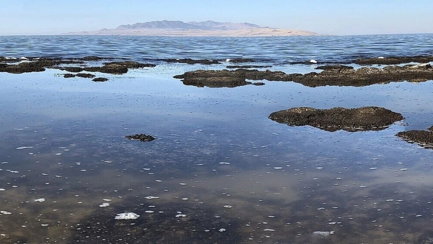 盐度高达海水10倍，大盐湖新物种曝光！科学家发现沃阿比双咽线虫