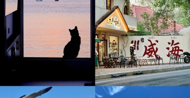 威海旅行，经典旅行路线_腾讯新闻