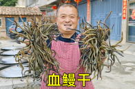 480买3斤血鳗干，阿胖山做爆炒血鳗干，连骨头都是香的，太下酒了_腾讯新闻