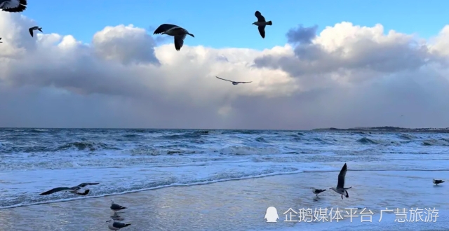 只有去威海3次以上的人，才知道的玩法_腾讯新闻