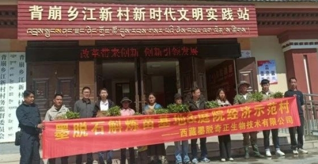 奇正藏药首个项目落地背崩_腾讯新闻