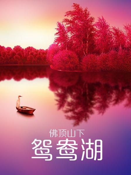 八十一道超纲题