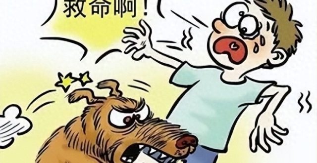如何避免被狗咬伤？被狗咬怎么急救？注意这8点，避免被狗咬伤！_腾讯新闻