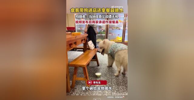 广东一餐馆，顾客用店内餐碗喂狗，拍摄者：当场提意见遭无视，店方：服务员发现后立即制止，已将涉事餐具丢弃，网传视频断章取义缩略图