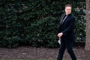 Musk's White House Role Clarified: Not an 'Organizing Minister'