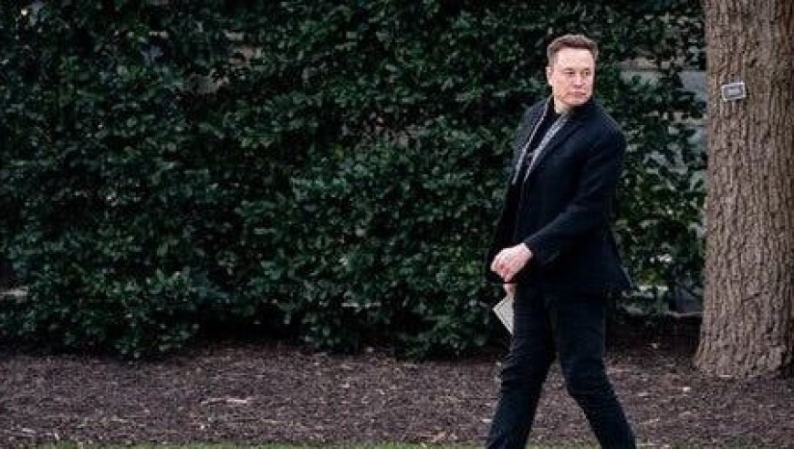 Musk's White House Role Clarified: Not an 'Organizing Minister'