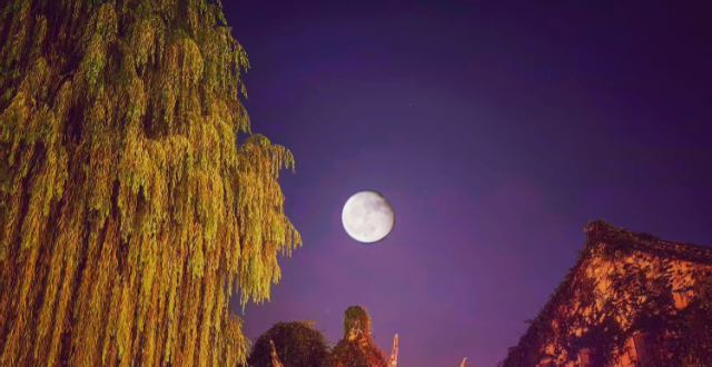 图集丨中秋夜，让我们共同赏月_腾讯新闻