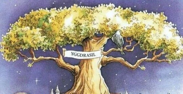 “世界树”的世界，写在上博“世界树之巅”大展开幕之前_腾讯新闻