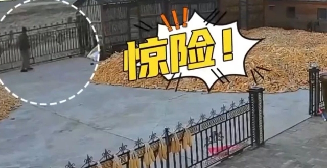 官方通报“一村民被老虎咬伤”！_腾讯新闻