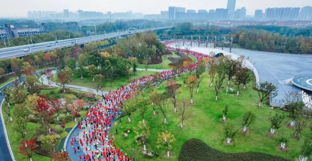 奔跑合肥 科创未来 2024合肥马拉松激情开跑_腾讯新闻