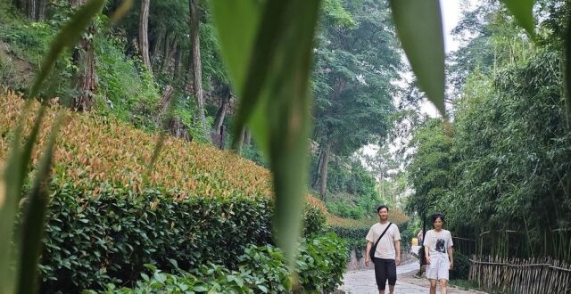 青岛竹子庵：夏日登山纳凉“竹”意正浓_腾讯新闻