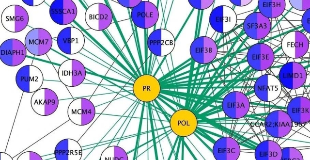 精选：15款顶尖Python知识图谱（关系网络）绘制工具，数据分析的强力助手_腾讯新闻