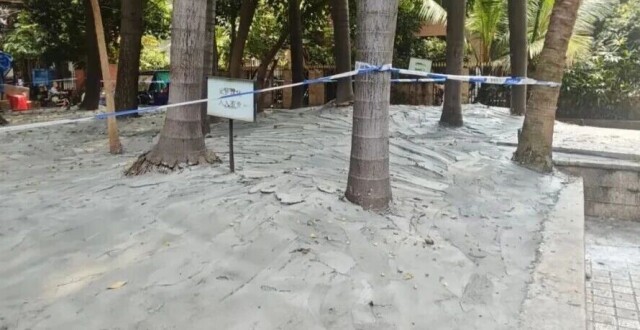 广州一人行道树池泥土表面被水泥封死
