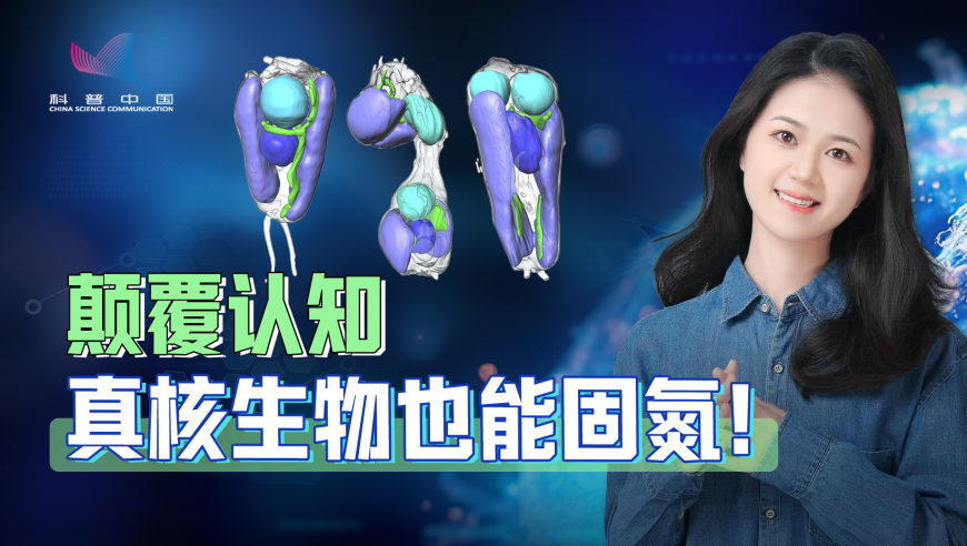 AI破解生命密码：精子和卵子如何“认出”彼此？_腾讯新闻
