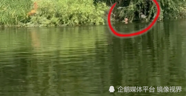 长葛佛耳岗水库平稳控泄