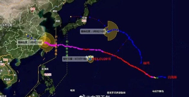 台风琵鹭来了