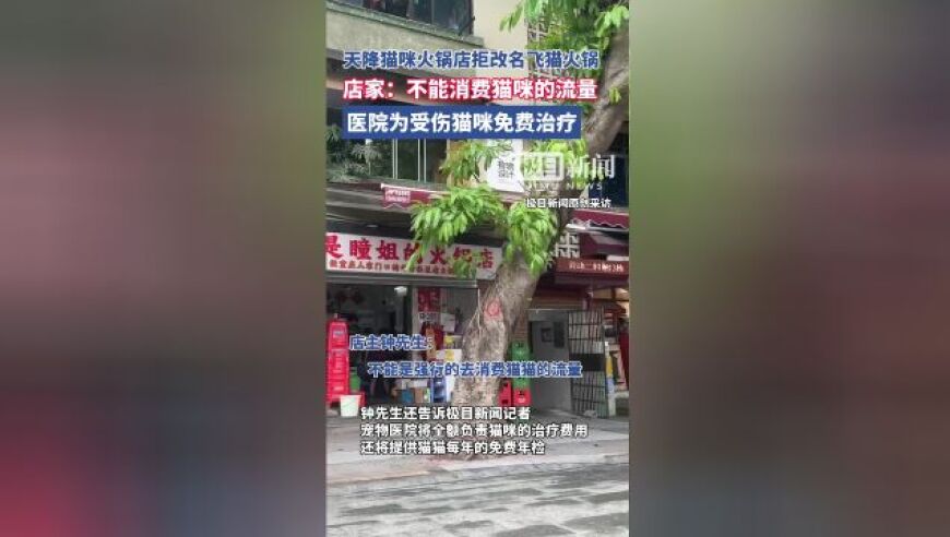 痛心！掉入火锅的猫咪“五一”竟因病情恶化离世，究竟咋回事？