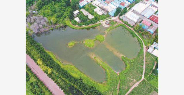 泉眼复涌美景现_腾讯新闻
