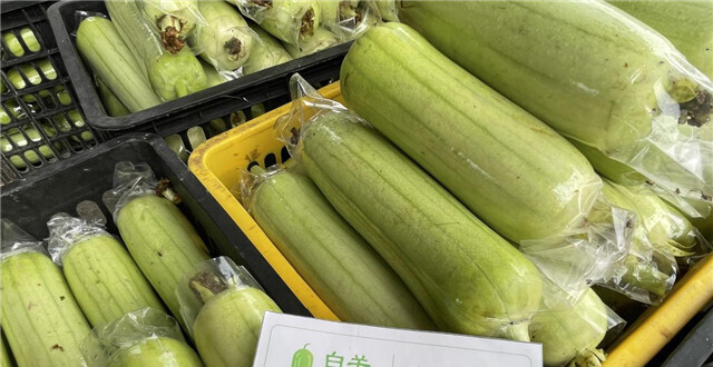 湘品出海大有可为丨中国一乡一品助力白关丝瓜出口英国_腾讯新闻