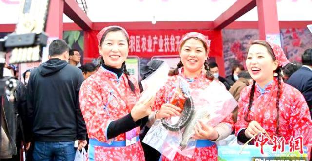 甘肃“村花”直播团的故事_腾讯新闻