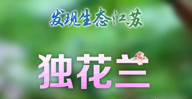 “神奇物种”在江苏 |独花兰，传宗接代靠“套路”_腾讯新闻