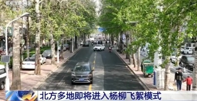 飞絮又来了！北京发布首个杨柳飞絮预报 如何预防一文读懂_腾讯新闻