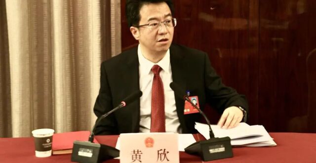 黄欣参加市五届人大四次会议安定代表团审议_腾讯新闻