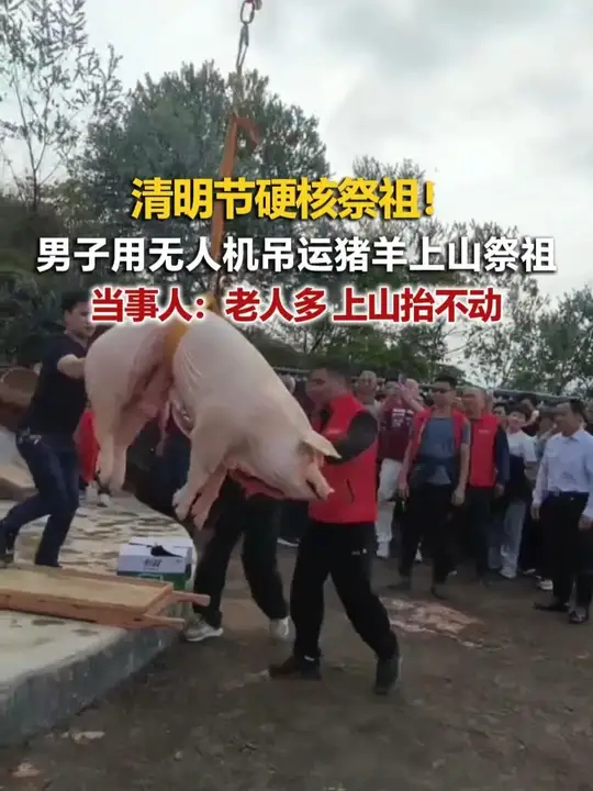 清明节硬核祭祖！男子用无人机吊运猪羊上山祭祖 当事人：老人多 上山抬不动_腾讯新闻