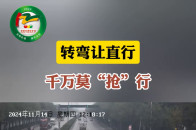 转弯让直行 千万莫“抢”行_腾讯新闻