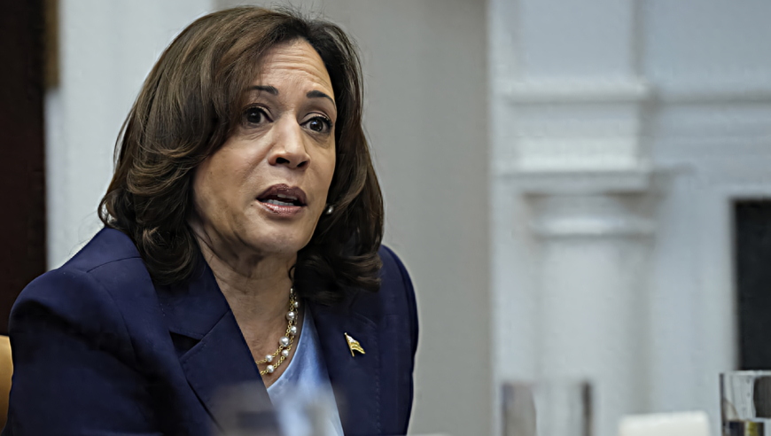 美国副总统哈里斯:美国"绝对无意"向以色列或加沙地带派遣军队