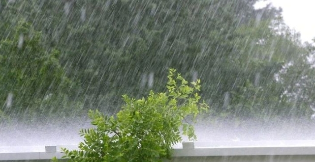 暴҈雨҈！大҈暴҈雨҈！内蒙古的庄稼可咋办？_腾讯新闻