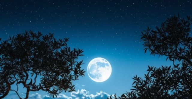 “星垂平野阔，月涌大江流”——杜甫《旅夜书怀》英韵传千古，孤鸥寄沉忧_腾讯新闻