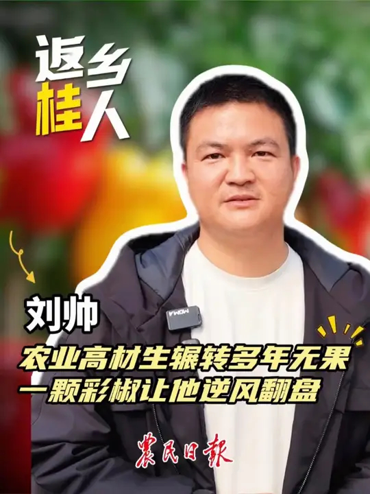 “85后”的农业高材生刘帅，辗转多年无果，一颗彩椒竟让他逆风翻盘_腾讯新闻