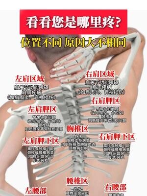 一份背部疼痛“地图”：你的疼在哪里？位置不同，原因大不相同_腾讯新闻