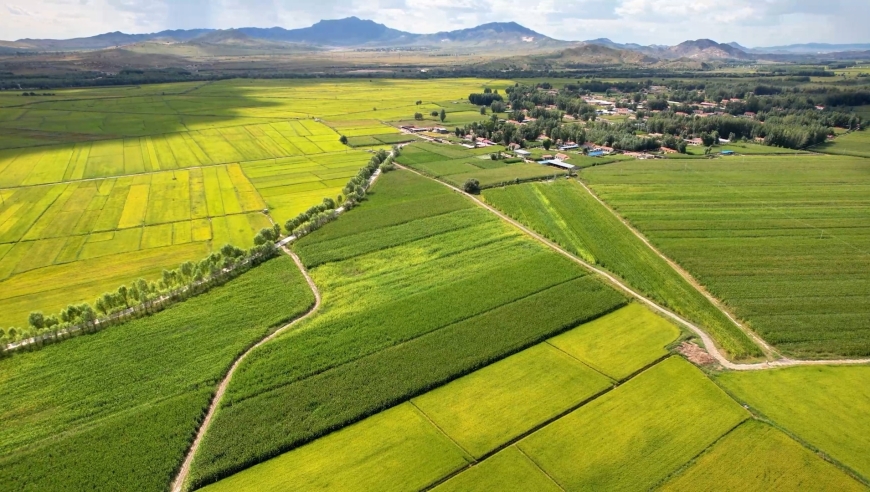千城胜景|内蒙古巴林右旗:金秋的五彩画卷铺满大地