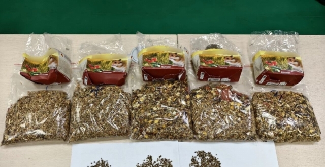 仓鼠粮里竟藏500多粒大麻种子，被广州海关查获！照片公布缩略图