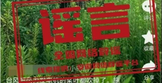 台风吹落风力发电机的桨叶系谣言