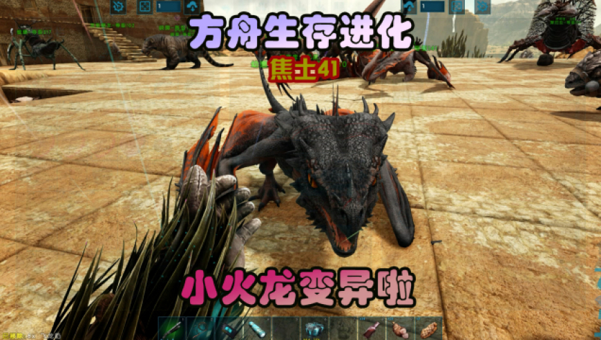 方舟生存进化 焦土41 小飞龙变异,幸福来得太快了