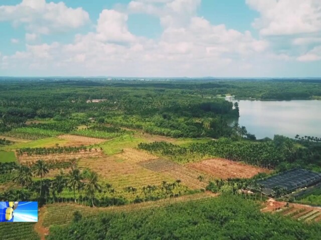 贯彻"4·13" 讲话精神 建设高品质滨海城市丨琼海市大路镇世界热带
