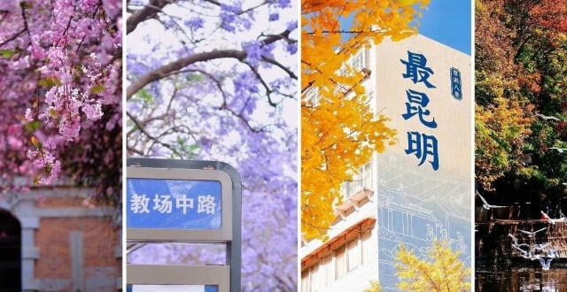 畅游五华 | 一组封面带你打开五华四季美景_腾讯新闻