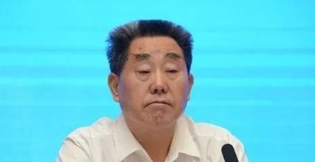 河南省人大常委会原副主任刘满仓被查，今年落马中管干部升至48人_腾讯新闻