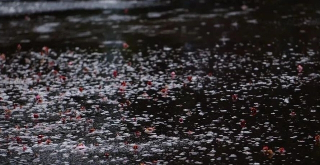 闵行出现冰粒！上海“冻雨”了吗？_腾讯新闻