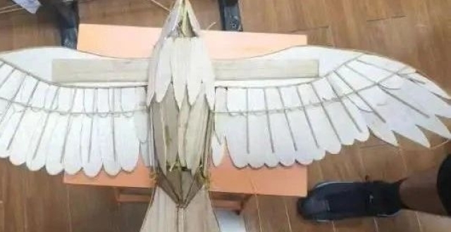 同济师生复原春秋“木鸢”并成功放飞！_腾讯新闻